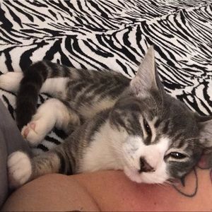 Meet your Posher, Corie